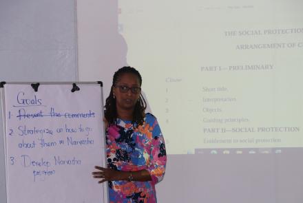 Presentation of goals and objectives of the working session